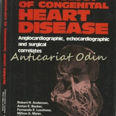 Morphology Of Congenital Heart Disease - Robert H. Anderson, Anton E. Becker
