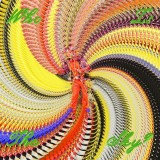 Who Is The Sky? | David Byrne, Ghost Train Orchestra