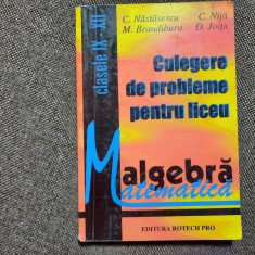 CULEGERE DE PROBLEME PENTRU LICEU CLASELE IX-XII C NASTASESCU 1997