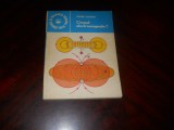 ANDREI TUGULEA -CIMPUL (CAMPUL) ELECTROMAGNETIC, 1983, Tehnica