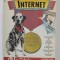 SUCCES CU INTERNET de ALLEN L. WYATT , 1996