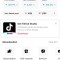 Cont tiktok 100k