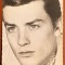 ALAIN DELON, C.P. PHOTO SAM LEVIN/ NECIRCULATA, STARE F.BUNA