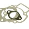 Garnituri scuter 2T 80cc Piaggio / Gilera (cilindru) - racire aer