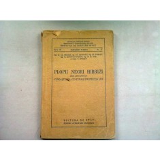PLOPII NEGRI HIBRIZI (ZISI DE CANADA). CUNOASTEREA, CULTURA SI PROTECTIA LOR - AL. BELDIE