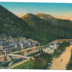 5447 - Baile HERCULANE, Caras-Severin, Romania - old postcard - used - 1920