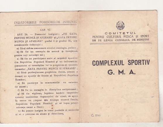 bnk div Brevet Insigna GMA