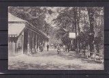 SALUTARE DIN BAIA ZIZIN PARCUL HENRIC LANG FOTOGRAFUL CURTII REGALE BRASOV