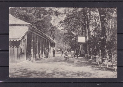 SALUTARE DIN BAIA ZIZIN PARCUL HENRIC LANG FOTOGRAFUL CURTII REGALE BRASOV foto