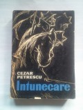 (C410) CEZAR PETRESCU - INTUNECARE