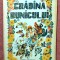 Gradina bunicului. Ilustratia: Laurentiu Sirbu. Editura Scrisul Romanesc, 1989 - Romeo Popescu