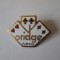 Insigna Bridge Arad 1983,dimensiuni:30 X 21 mm