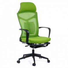 Scaun ergonomic cu spatar rabatabil si suport picioare EDPO 9502 Verde foto