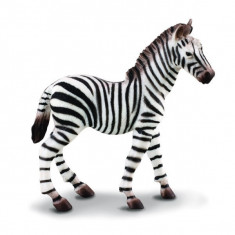 Figurina pui de Zebra M Collecta foto