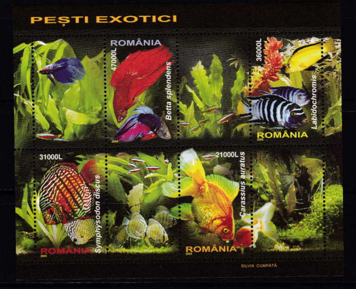 RO 2005 ,LP 1676c,&quot;Pesti exotici&quot; , serie in bloc , colita 351 , MNH