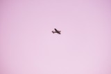 Tablou Canvas cu Avion, , Roz, 39 x 26 cm, CMCLASS