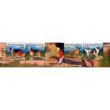 BOSNIA SRPSKA 2007 FAUNA ANIMALE DOMESTICE CAINI