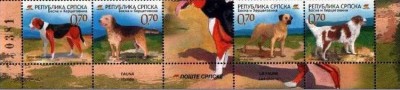 BOSNIA SRPSKA 2007 FAUNA ANIMALE DOMESTICE CAINI foto