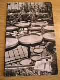 QW24 C - Carte postala - tematica turism - vedere - Cluj Napoca 42, Circulata, Fotografie