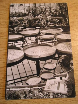 QW24 C - Carte postala - tematica turism - vedere - Cluj Napoca 42 foto