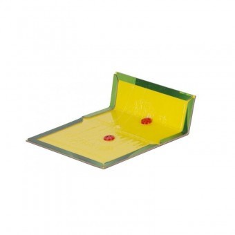 Capcana cu lipici contra rozatoarelor, 19.5x13x1 cm