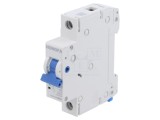 &Icirc;ntrerupător de supracurent 40A 230/400VAC 1 Poli 6kA