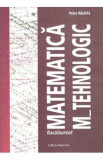 Matematica M-Tehnologic ghid pentru Bac - Petre Nachila