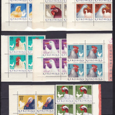 ROMANIA 1963 LP 560 PASARI DE RASA BLOCURI DE 4 TIMBRE MNH