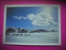 HOPCT 7434 CAINE LA SANIE POLARA -LABRADOR -CANADA -AMERICA DE NORD -NECIRCULATA