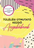 T&uacute;l&eacute;l&eacute;si &uacute;tmutat&oacute; kezdő anyuk&aacute;knak - Amy Ransom