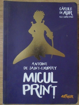 MICUL PRINT-ANTOINE DE SAINT-EXUPERY foto