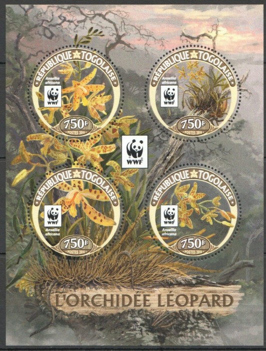 TOGO 2016 WWF ORHIDEE