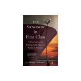 The Stowaway in First Class: A True Story of an Unforgettable Quest to Come to America