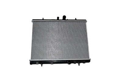 Radiator Motor 153631 con32194 foto