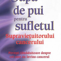 Supă de pui pentru sufletul supravieţuitorului de cancer - Paperback brosat - Jack Canfield, Mark Victor Hansen, Beverly Kirkhart, Nancy Mitchell, Pat