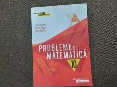 PROBLEME DE MATEMATICA CLAS A X A LUCIAN DRAGOMIR