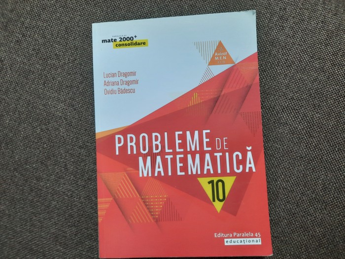 PROBLEME DE MATEMATICA CLAS A X A LUCIAN DRAGOMIR