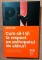 Foto  - 1