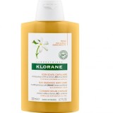 Șampon pentru &icirc;ngrijirea părului Sun Radiance, Klorane Polysianes, cu Tamanu și Monoi organice 200 ml