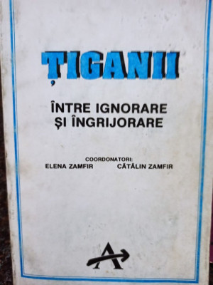 Elena Zamfir - Tiganii intre ignorare si ingrijorare (1993) foto