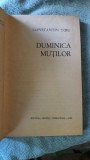 Duminica Mutilor - Constantin Toiu