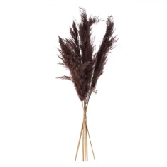 Pene Decorative Pampas, Model 85cm, Culoare Maro, Set 5 Bucăți