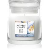 Yankee Candle Silver Birch lum&acirc;nare parfumată Signature 110 g