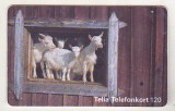 bnk card Cartele telefonice - Suedia - fauna - capre