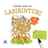 Cartea mea cu labirinturi (+ 4 ani). 46 de labirinturi refolosibile + o carioca