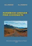 Dinamica gazelor prin conducte - LibHumanitas