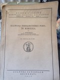 Academia Romana - Elephas Trogontherii Pohl in Romania - I. Simionescu
