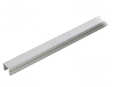 Profil aluminiu anodat argintiu 1m pentru module LED PDS-4-PLUS foto