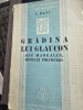 Gradina lui Glaucon - C. Banu, Editie 1937, Fundatia Regele Carol II, Roman, Coperta Originala