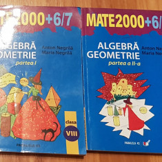 Algebra, Geometrie Clasa a VIII a de Anton si Maria Negrila (2 vol)